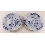 A pair of 18th century Chinese  blue and white plates painted foliage and garden scene