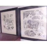 Two black and white prints of bulldogs