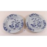 A pair of 18th century Chinese  blue and white plates painted foliage and garden scene