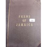 A Victorian annotated album of pressed ferns bound and titled Ferns of Jamaica