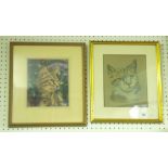Jack Holloway - two pastel pictures of cats, 21 x 17cm