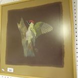 An embroidered picture of a  green woodpecker - framed and glazed 32 x 32cm