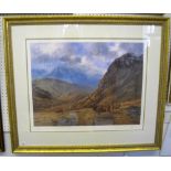 John Trickett - limited edition print 12/95 'Guardian of the Glen', signed in pencil - framed and