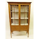 An Edwardian satinwood two door display cabinet with inlay decoration