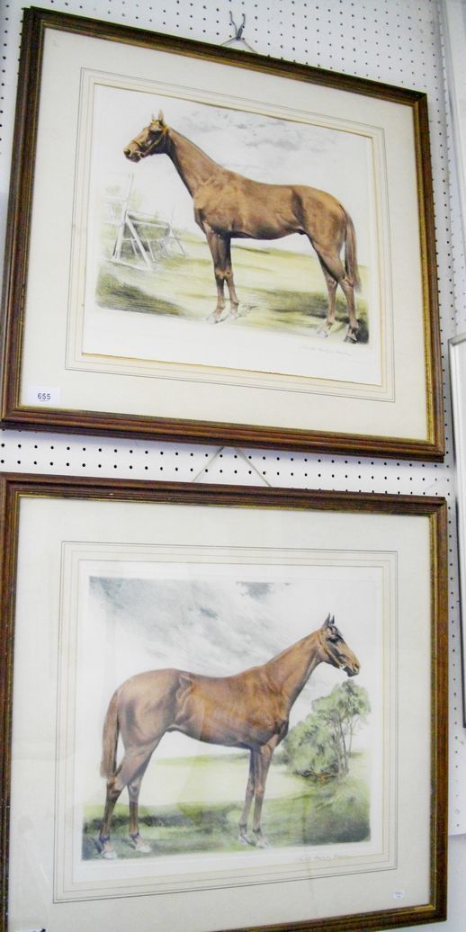 Nouhl Carljos Gairer - two coloured etchings of race horses, 33 x 37cm (one lacking glass)