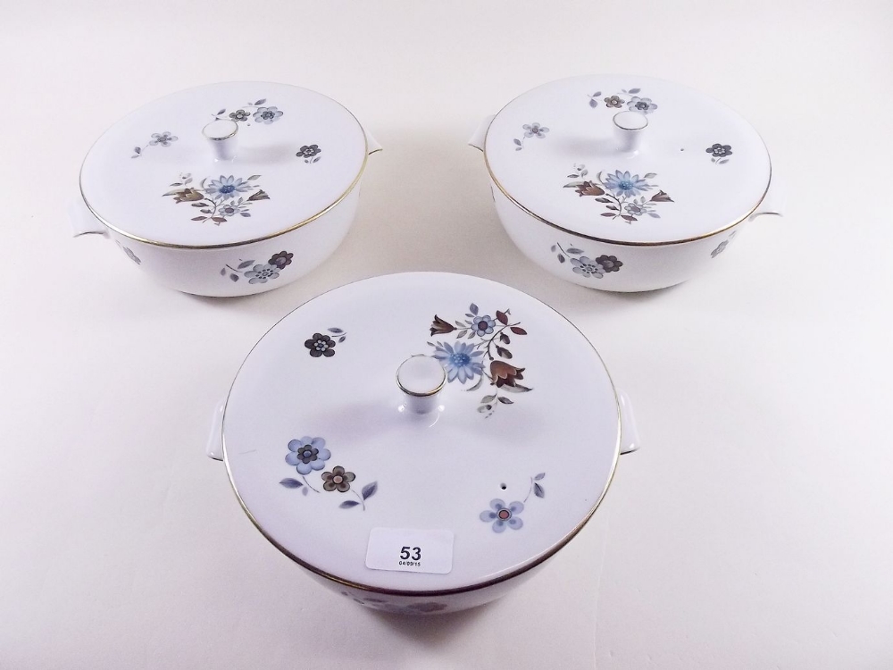 A Royal Worcester Lucerne dinner service comprising: eight dinner plates, four pudding plates, eight