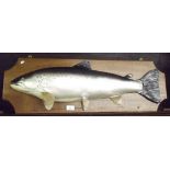 A cast salmon wall plaque