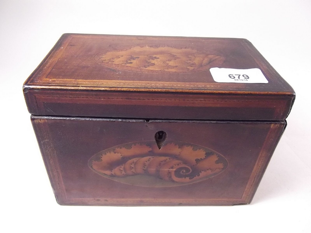 A Georgian mahogany tea caddy with shell marquetry to lid and front 17.5 cm x 10cm x 12cm