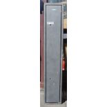 Three gun security cabinet with two keys, 51 x 9 x 9 ins