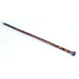 Rare and unusual walking cane blow pipe marked Jackson, London and numbered 107, with brass and