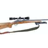 .22-250 Ruger 77 Mk II, bolt action, five shot, stainless steel barrel and action, laminated stock