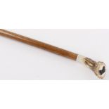 Stag horn handle walking stick with relief carved Labrador inset, 38,1/2 ins