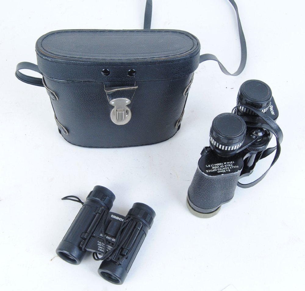 Cased pair binoculars and pair mini binoculars