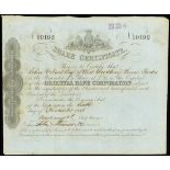 Oriental Banking Corporation, 25pound share, 1851, folio number 10192, white paper, bank coat of