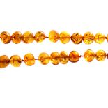 A string of Baltic Amber beads, the non-uniform bead on red string, with screw clasp, approx 80cm L,