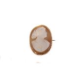 A 19th century 9ct gold shell cameo brooch, the pale neo-classical figure of a female facing