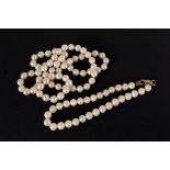 A cultured pearl necklace and bracelet, both with uniformed white pearls and having 9ct gold