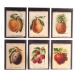 Tobacco silks ATC, Fruits, 'L' size, (set, 10 silks, plus 3 duplicates and one variation) (gen
