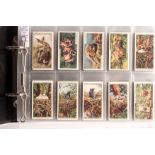 Cigarette Cards, Birds, a collection of sets relating to Birds, contained in an album, 8 sets