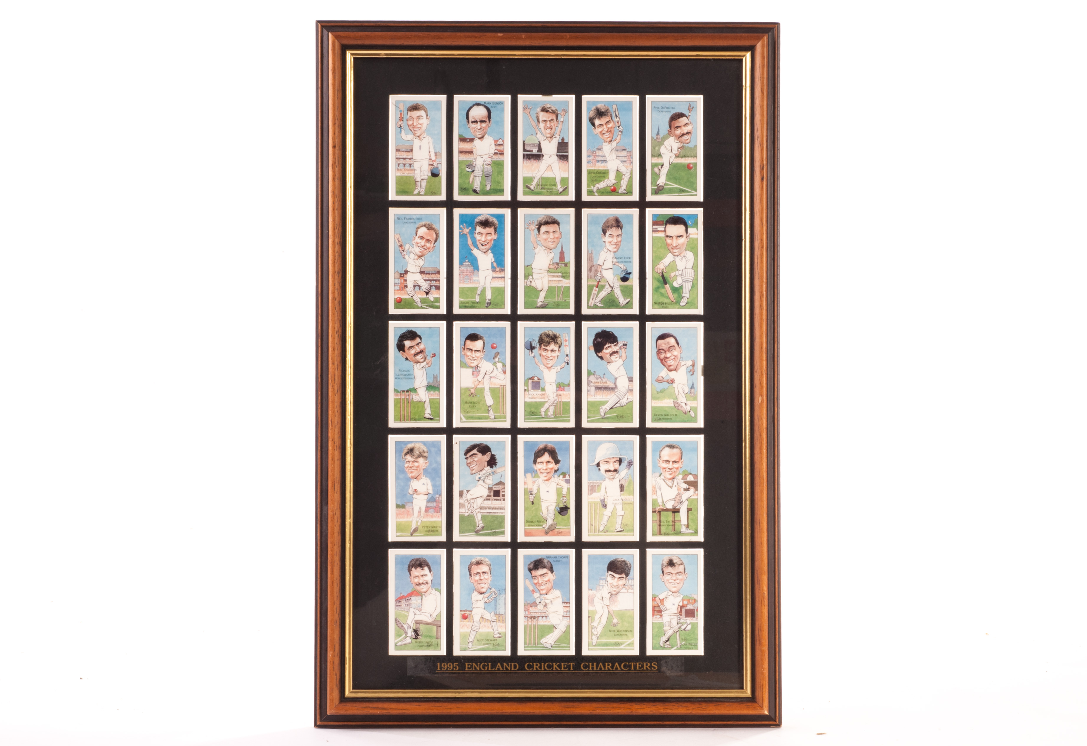 Trade Cards, Cricket, County Print, framed and glazed set of 25 1995 England Cricket Characters, (