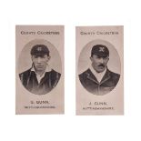Cigarette cards Cricket, Taddy County Cricketers, Nottinghamshire, two cards, G Gunn & J Gunn (