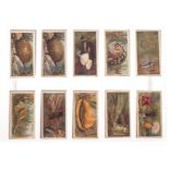 Cigarette Cards, Animals, Complete Sets, Players Wild Animal Heads (50),  Wild Animal Heads