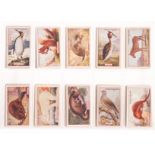 Cigarette Cards, Nature, Complete Sets, Gallaher, Animals & Birds of Commercial Value (100), British