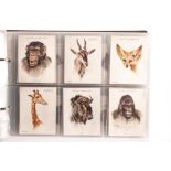 Cigarette Cards Animals & Nature, a collection of complete sets relating to Animals and Nature in