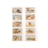 Cigarette Cards, Fables, Gallaher, a set of 100 cards relating to the set Fables and their Morals, a