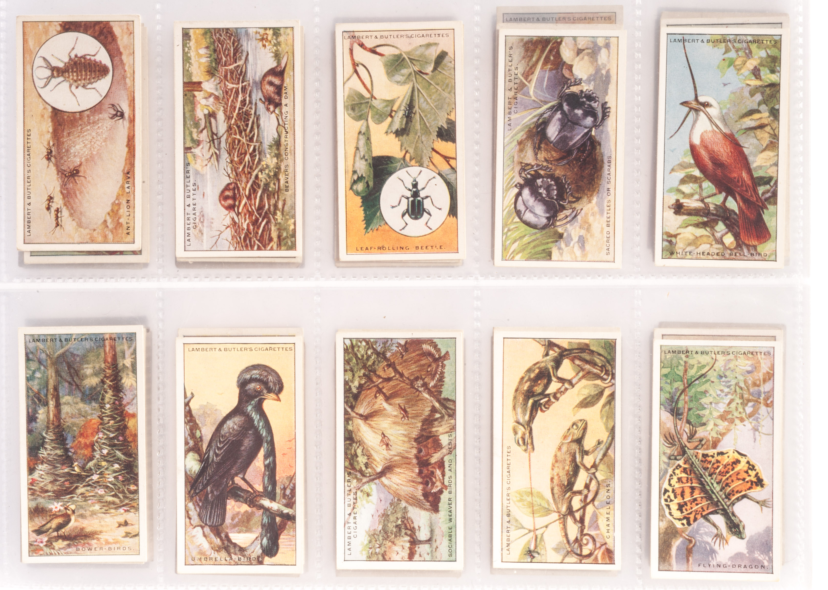 Cigarette Cards, Transport & Nature, Complete sets, Lambert & Butlers Motor Cars Series A, green
