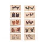 Cigarette Cards, Poultry, Complete Sets, Players Poultry (50) together with Poultry Transfers (