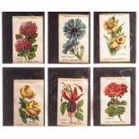 Tobacco silks ATC, Flowers, 'M' size, all inscribed Zira cigarettes, (set, 25 silks) (gd)