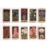 Cigarette Cards, Floral, Complete Sets, Wills's Flower Culture in Pots (50) and Wild Flowers (50) (