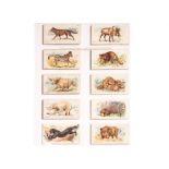 Cigarette Cards, Animals, Complete Set, Players Wild Animals of the World (24)(gd)