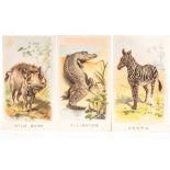 Cigarette Cards, Animal, Complete Set, Wills's Animals & Birds Overseas Issue, no series title (51/