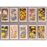 Cigarette Cards, Mixture, Complete Sets, Wills's Wild Flowers (50) and Garden Flowers (50)