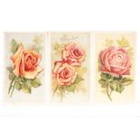Cigarette Cards, Roses, Complete Set, Wills's Roses Purple Mountain Overseas Issue (25) (vg - no 1 &