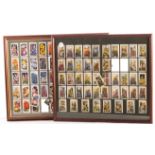 Cigarette Cards, Floral, Complete sets framed and glazed, the first being Gallaher Wild Flowers (48)