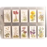 Cigarette Cards, Flowers, a collection of sets relating to flowers, namely Will's Roses (2 different