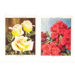 Cigarette Cards, Roses, Complete Sets, Wills's Roses, A & Second Series (100)(gd - vg) together with