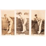Cigarette Cards, Cricket, Complete Set, Wills's New Zealand Issue, English Cricketers (25)(ex)