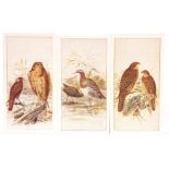 Cigarette Cards,  Complete Sets, Birds of Australasia (100) green back (16 Capstan & 84 Vice