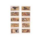 Cigarette Cards, Birds Complete Sets, Players Wild Birds (50) together with Wild Birds transfers  (