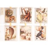 Cigarette Cards, Animals, Complete Sets, Churchman Nature's Architects  (12 large), B Morris