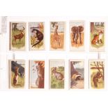 Cigarette & Trade Cards, Animals, Complete Sets, Wills New Zealand Issue Zoo  (50), Wills Animalloys