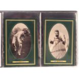 Trade issues Cricket, a modern album containing a selection of sets, and odds from various modern