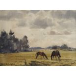 Peter Williams (20th/21st century, NZ), oil on canvas landscape with horses grazing 'Out to Stud',