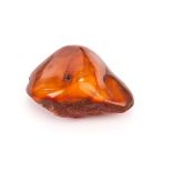 A piece of natural amber, the organic form with polished upper