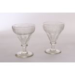 A pair of 19th century glass rummers, the conical vessels with etched grape and leaf design to