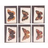 Tobacco silks, ATC, Butterflies & Moths, set 3, Factory No 649 wording only (24/25) (gd)